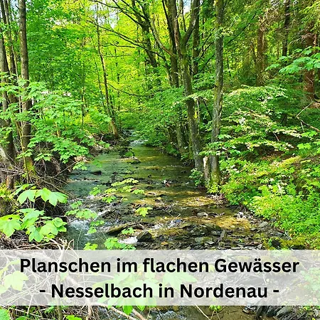 Grimme - 350m2, 18 Betten - Mit Indoorspielplatz, Pool, Grosser Terrasse, Grill, Sauna, Kicker, Dart, Uvm - Ideal Fuer Familien * Schmallenberg