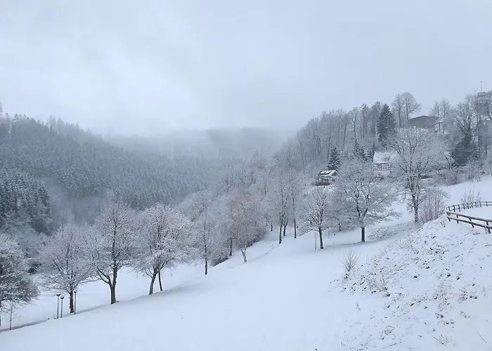 Grimme - 350m2, 18 Betten - Mit Indoorspielplatz, Pool, Grosser Terrasse, Grill, Sauna, Kicker, Dart, Uvm - Ideal Fuer Familien Casa de Férias Schmallenberg