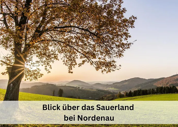 Grimme - 350m2, 18 Betten - Mit Indoorspielplatz, Pool, Grosser Terrasse, Grill, Sauna, Kicker, Dart, Uvm - Ideal Fuer Familien * Schmallenberg